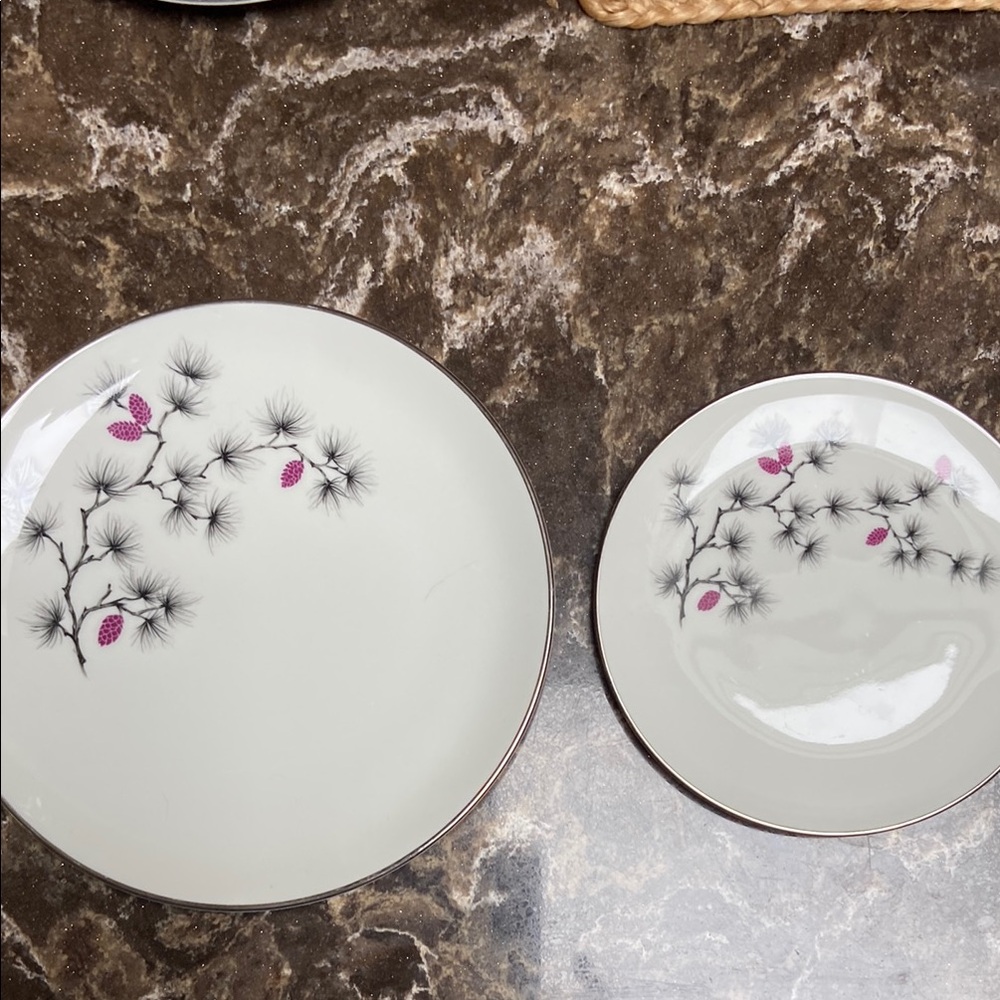 Arcadia Floral Dinnerware Set - White and Pink vintage luncheon & dessert plates